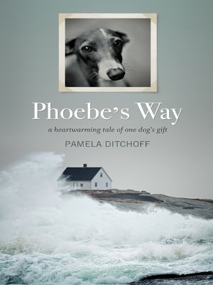 cover image of Phoebe's Way